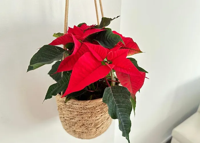 Feel - Casa Di Luce * Bergamo